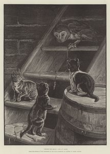 Davanti al giudice, dal quadro nella mostra del Royal Institute of Painters in Water Colours